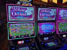 bujang game selection dashboard showing football and casino options